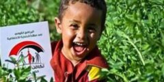 الاستعلام عن تكافل وكرامة 2025 بالرقم القومي وكيفية متابعة حالة البطاقة