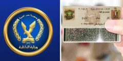 استخراج بطاقة الرقم القومي أونلاين 2025.. خطوات بسيطة وشروط ورسوم التقديم