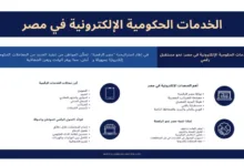 الخدمات الحكومية في مصر