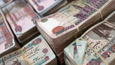 صرف معاشات سبتمبر 2025: خطوات الاستعلام وأماكن الصرف لجميع المستفيدين