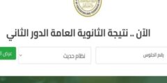 نتيجة الثانوية العامة الدور الثاني 2025: الاستعلام الكامل ونسب النجاح لكل الشُعب