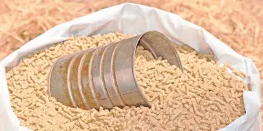 أسعار أعلاف