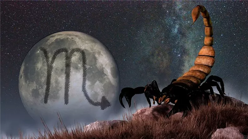 هالة حافظ تحذّر: تأثيرات فلكية سلبية قادمة لـ الأسد والثور والعقرب بسبب القمر في العقرب