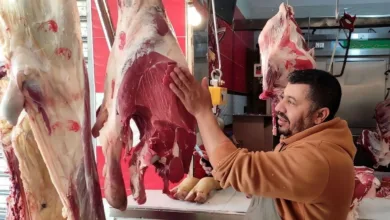 أسعار اللحوم اليوم