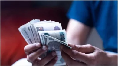 معاشات المهن