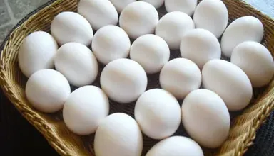 أسعارأسعار البيض اليوم البيض اليوم