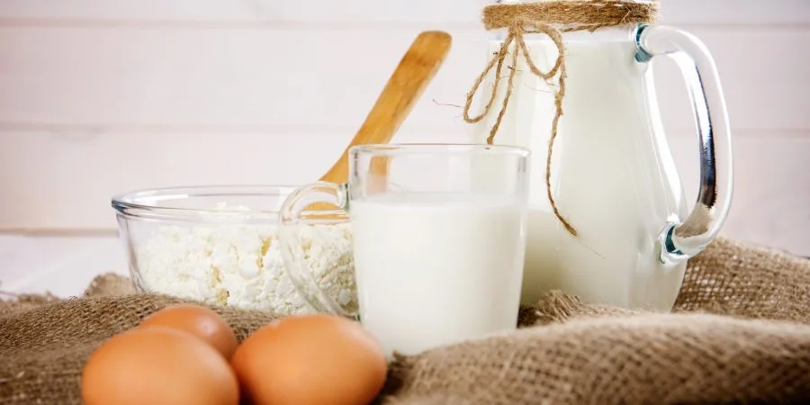 أسعار البيض والألبان والسمن