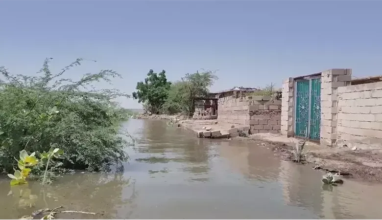 تحذير عاجل لسكان كفر الزيات وبسيون