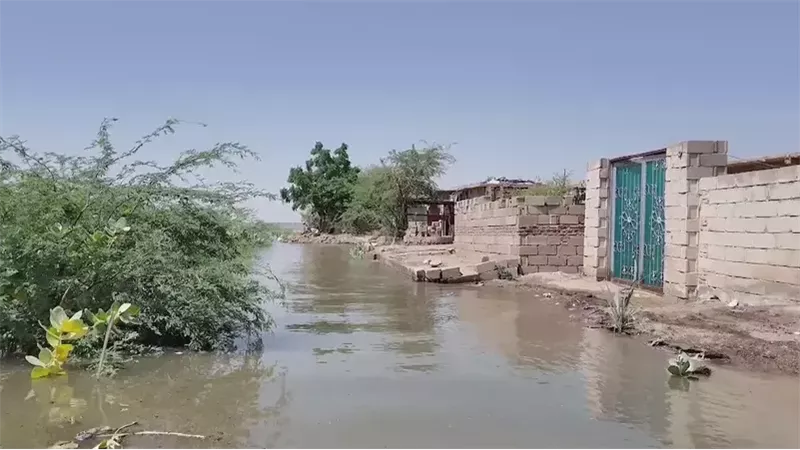 تحذير عاجل لسكان كفر الزيات وبسيون